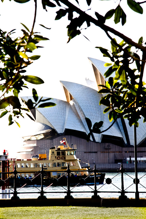 Ferry and Sydney Opera House among trees