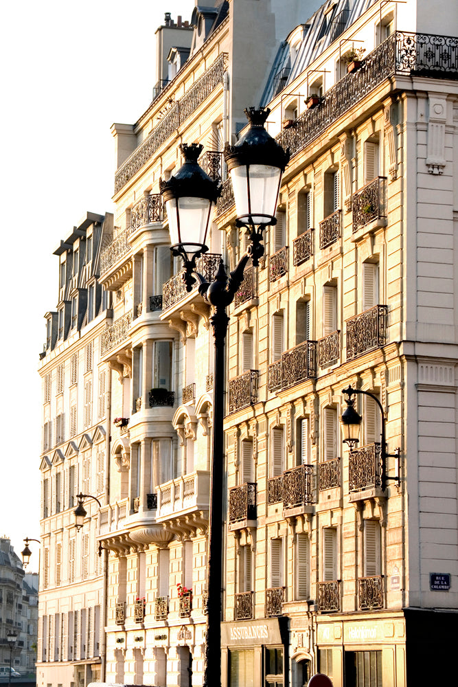Paris Terris Lights